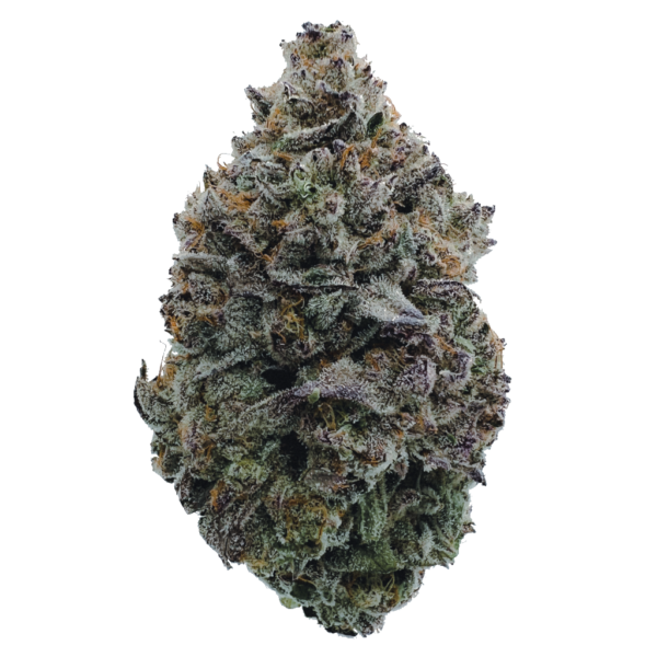 Lemon Cherry Gelato