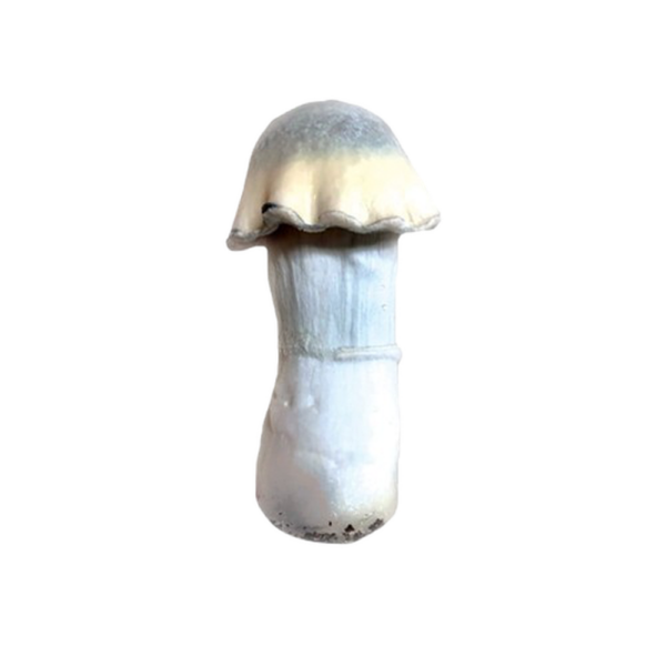 Mega Ghosts