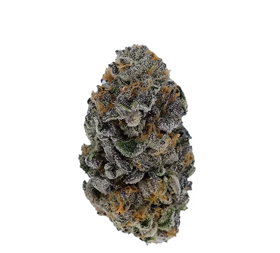 Medellin x Jet Fuel Gas