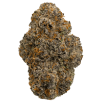 White-Runtz-Strain-WEB
