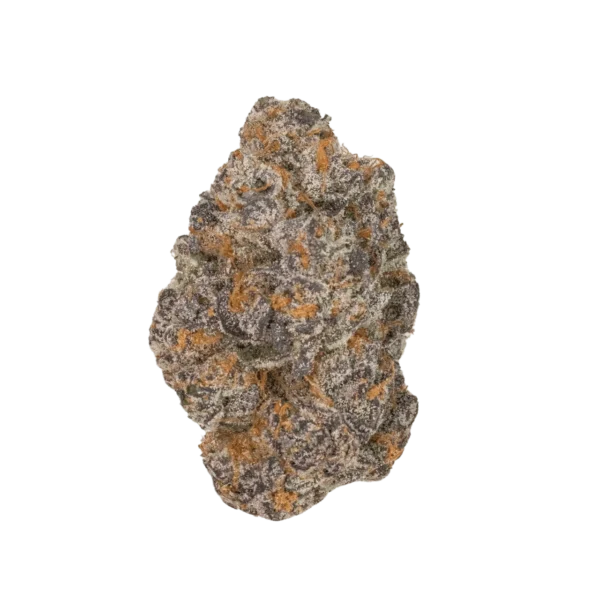 Apple Fritter