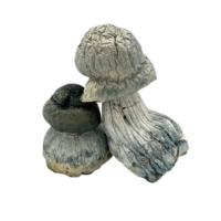 d9b99353-3f31-413a-9a4b-1bbca22bdaec