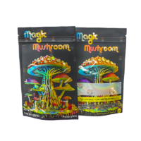 magic mushroom