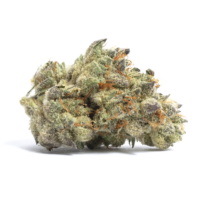 strain-10