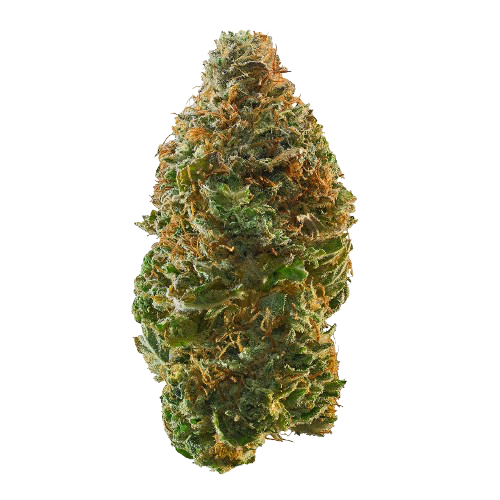 Cherry Bomb